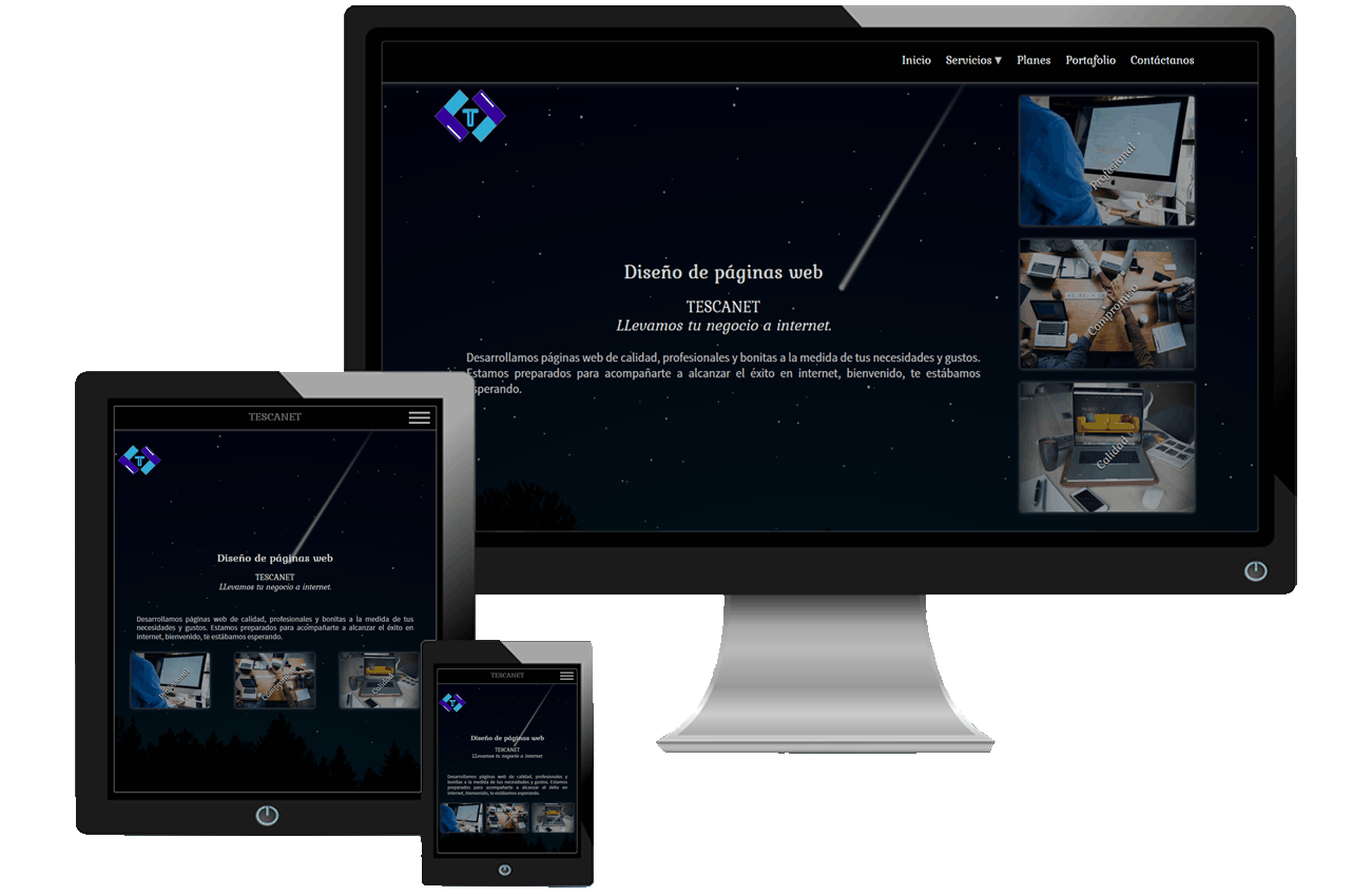 Página web de la empresa de desarrollo y diseño web profesional y económico TESCANET